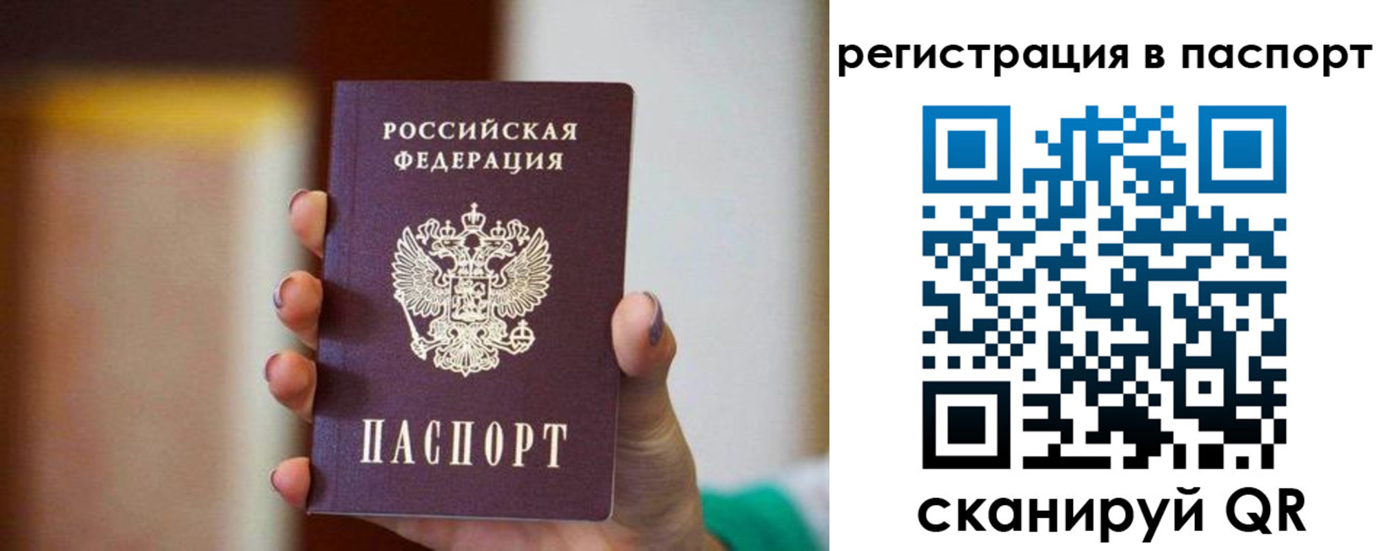 временная регистрация гарантия в Александрове