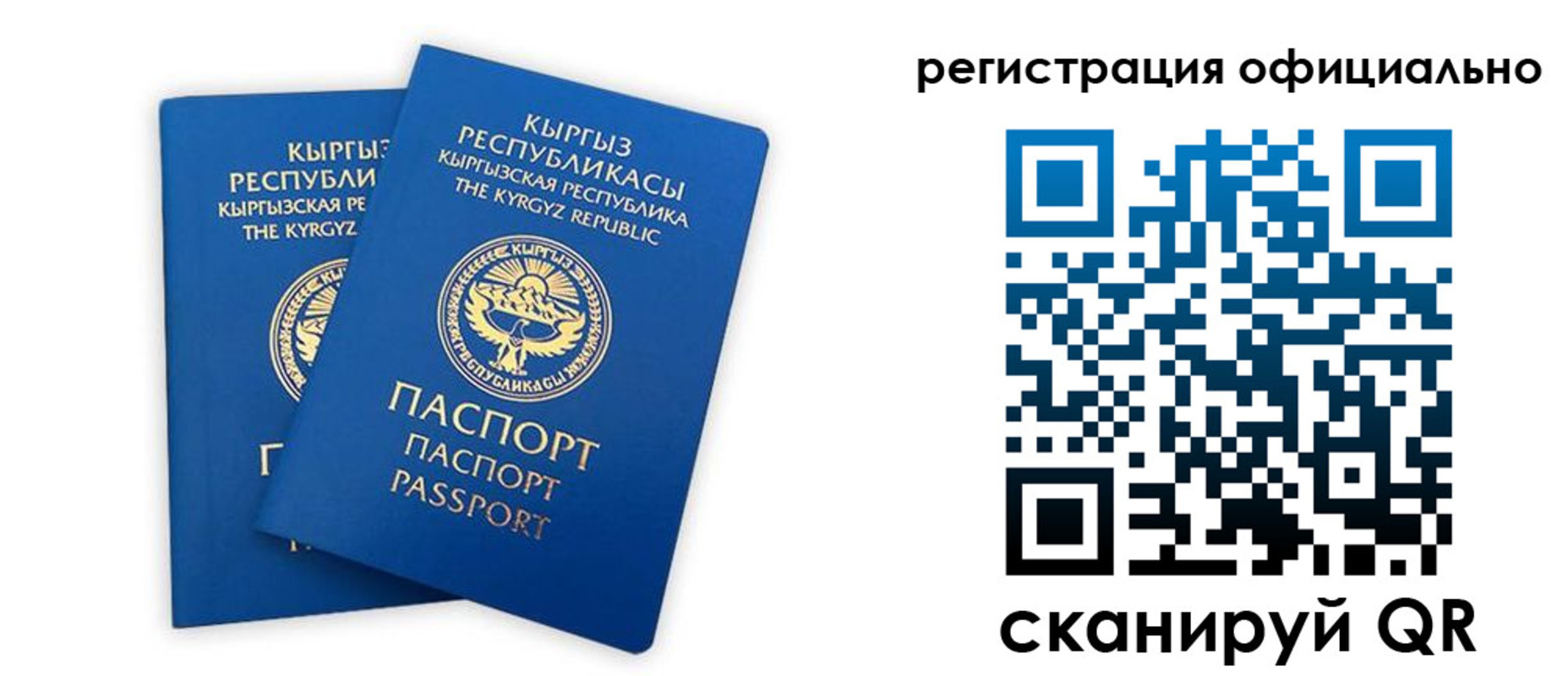 прописка поиск в Александрове